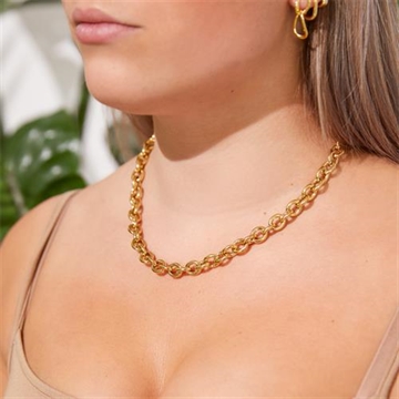 Forgyldt Collier med runde Ankerled - 42 til 47 cm