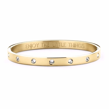 Armring i Guldfarvet Rustfrit Stål med Zirkonia - 6 mm